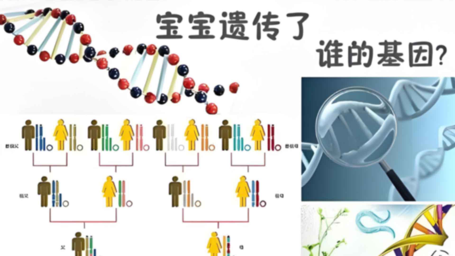 重庆奉节县落户需要做亲子鉴定吗