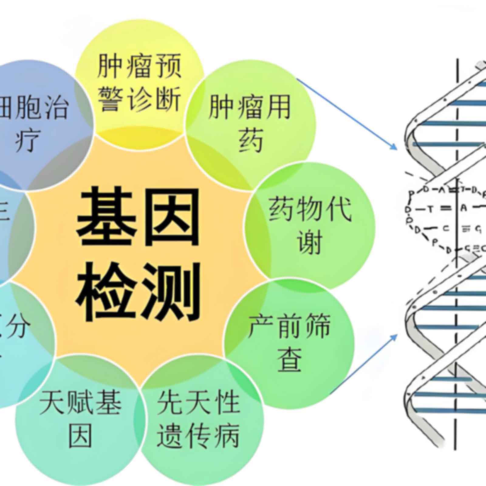 重庆九龙坡区做亲子鉴定需要准备什么样本